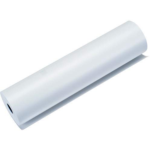 Amazon.com: LB3663 Standard Perforated Roll Paper, Thermal, (Pack